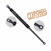 Αμορτισέρ εκτυπωτικού 22.6cm